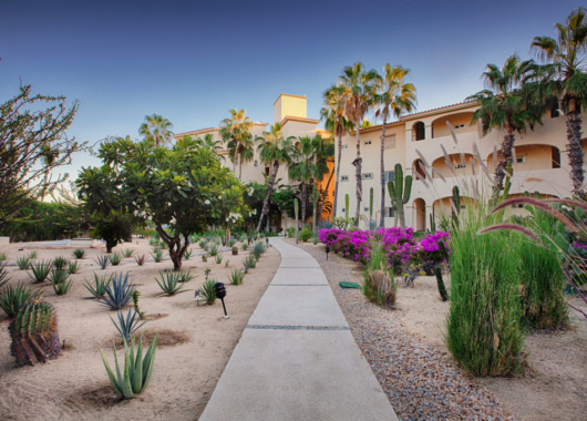 Las Mananitas Landscape