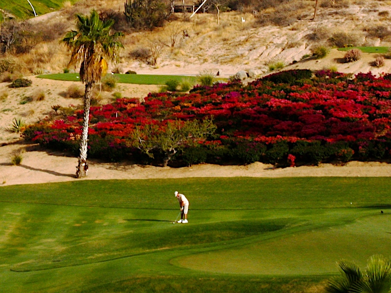 golf-buganvilla
